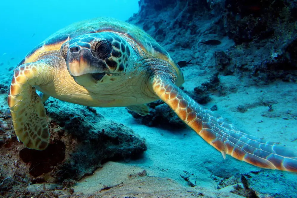 Beauty Trip Aswan Luxor Hurghada