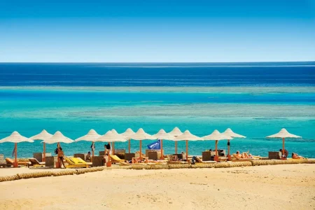 Marsa Alam Adventure: Sun, Sea, and Desert Thrills