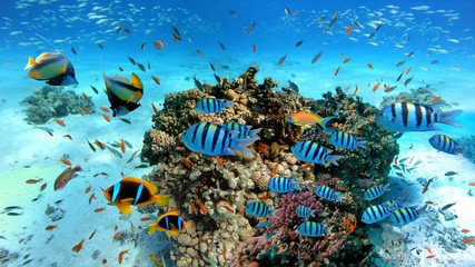 Hurghada Chalet 7 Days: Where the beauty of nature meets the blue of the water