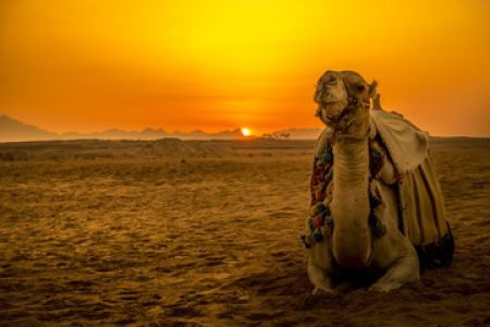 Discover the Magic of Egypt: cairo,Aswan,Luxor,Hurghada