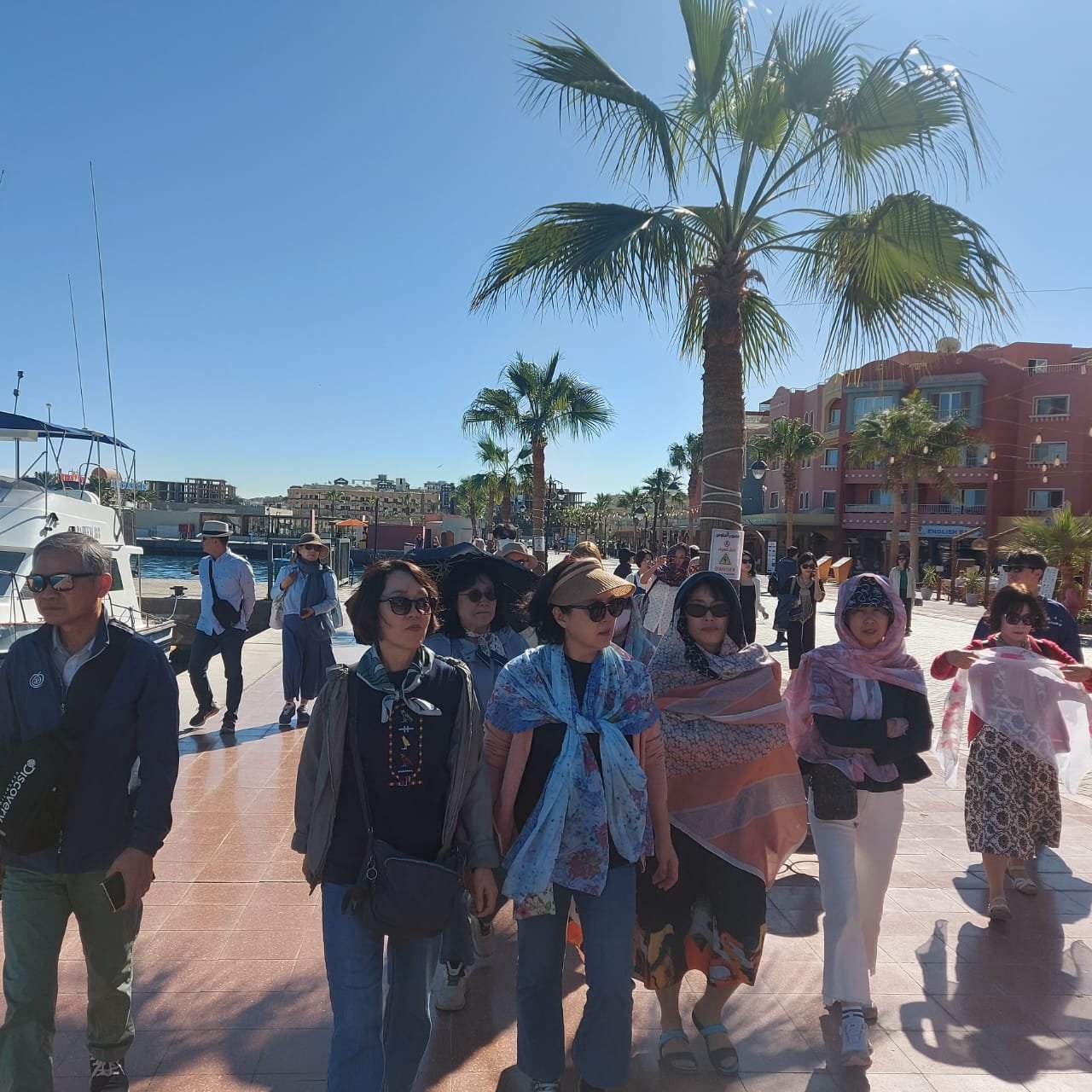 Beyond the Pyramids A Golden Odyssey from the Nile to the Red Sea